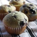 Blueberry Muffins 
