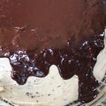 Chocolate Peanut Butter Cake 