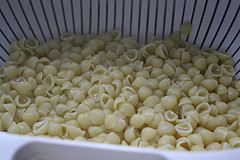 shell macaroni