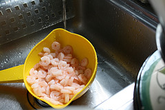 baby shrimp