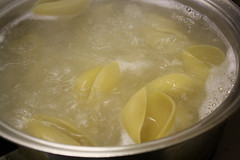 pasta shells