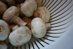 button mushrooms