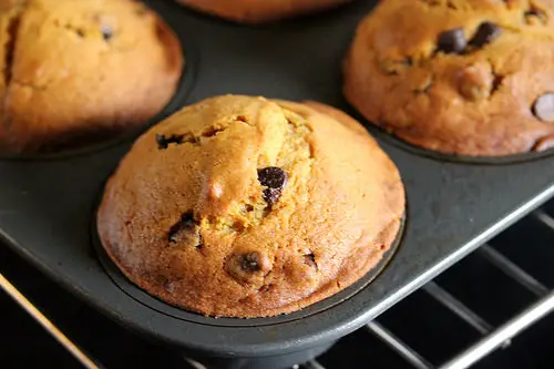 simple chocolate chip muffins recipe