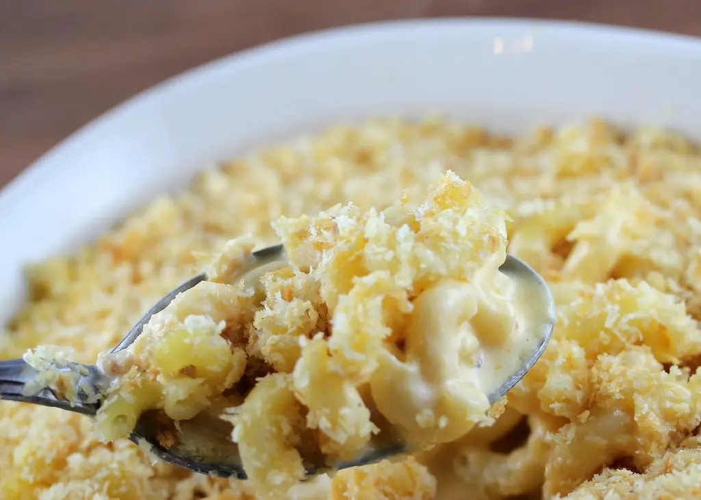 low fat baked macaroni and xheese recipe