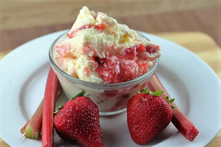strawbberry rhubarb custard ice cream recipe
