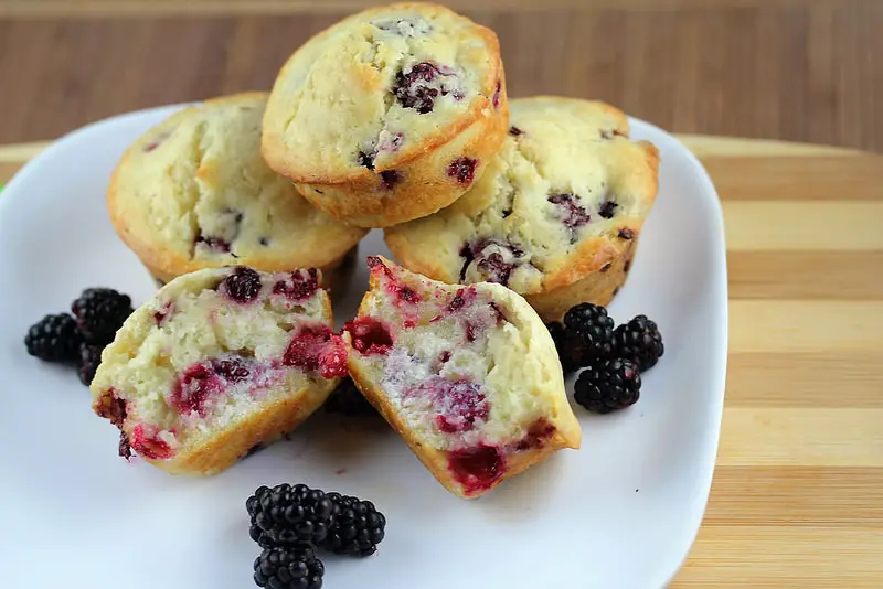 blackberry muffin picture recipe