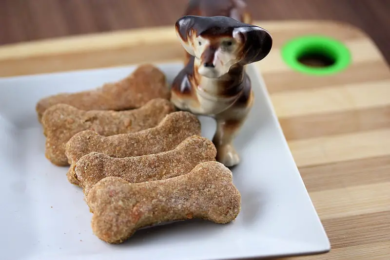 cheesy dog biscuit recipe