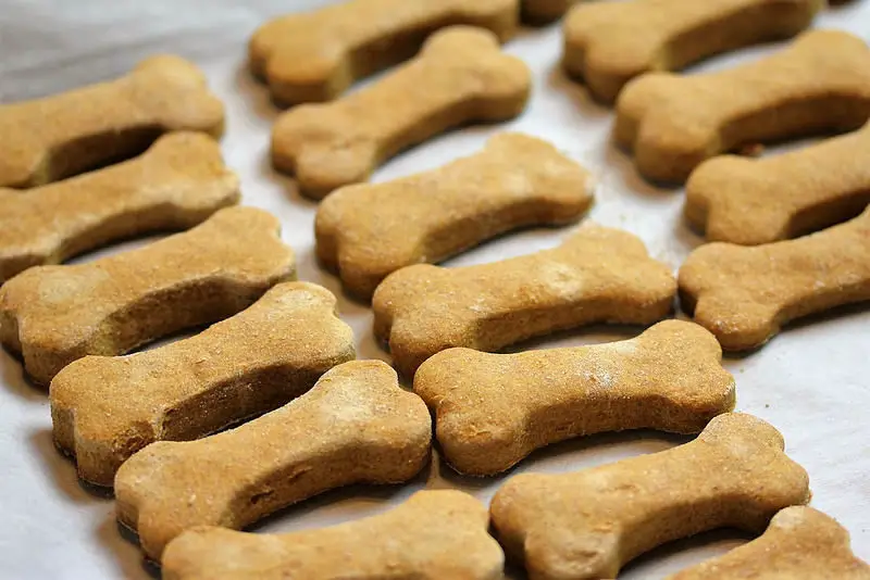 peanut butter dog biscuits