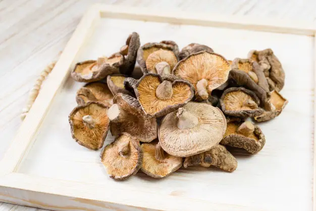 Dry Mushrooms for Cooking