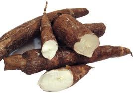 Fresh Whole Yuca Root (5lb)