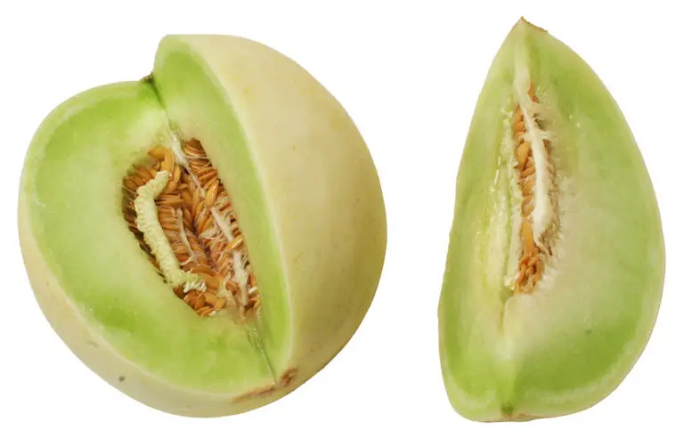 how-to-tell-if-honeydew-is-bad-cully-s-kitchen