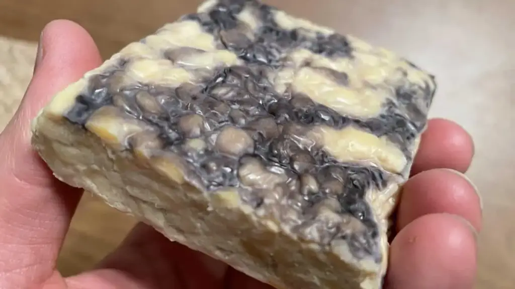 How To Tell If Tempeh Is Bad? Cully's Kitchen