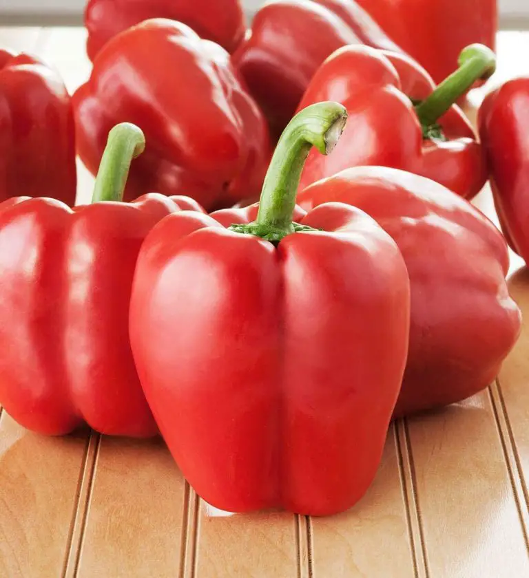 Which Bell Pepper Is Best For Cooking? - Cully's Kitchen