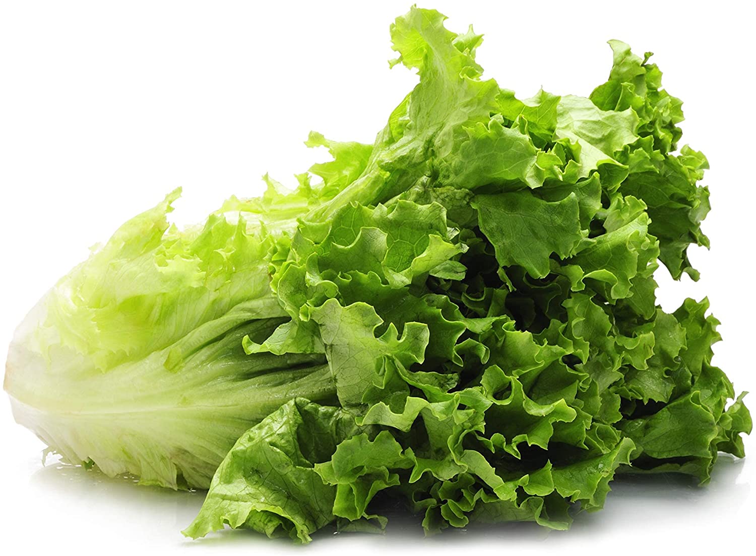 how-to-tell-if-romaine-lettuce-is-bad-cully-s-kitchen