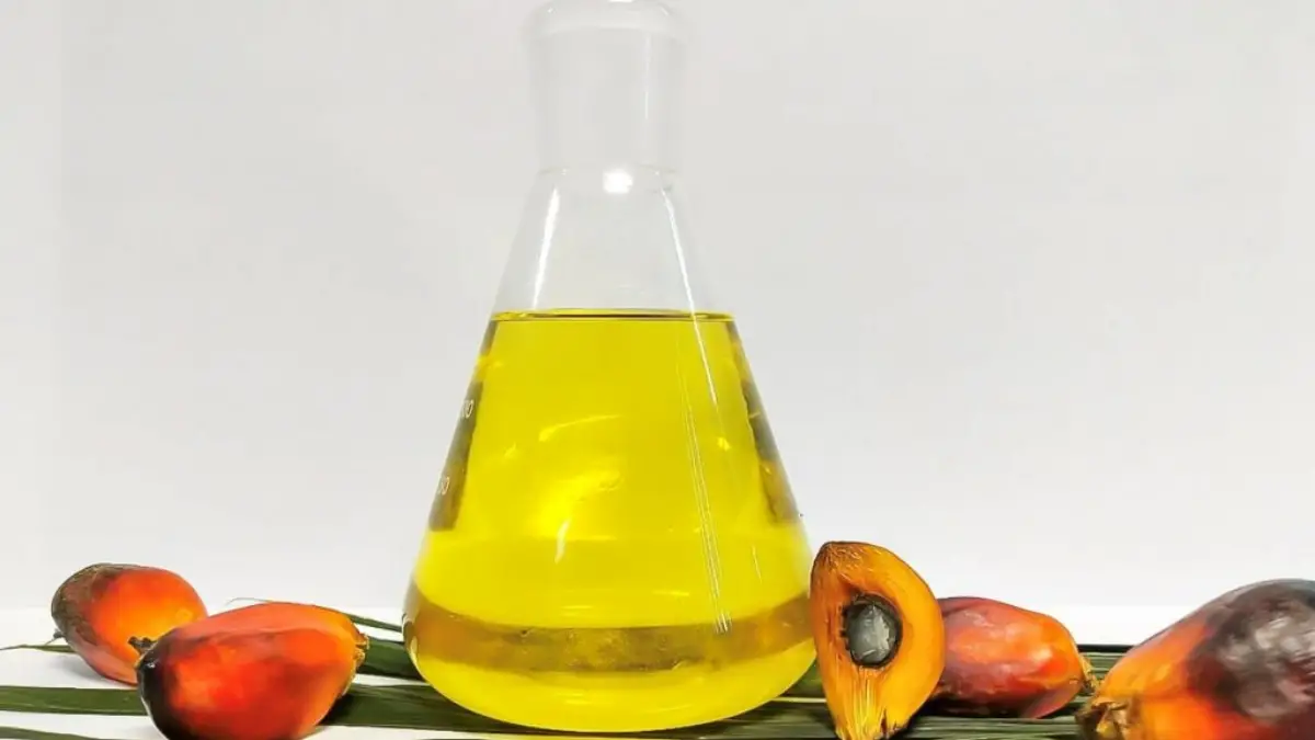 best-cooking-oils-for-lowering-cholesterol-cully-s-kitchen