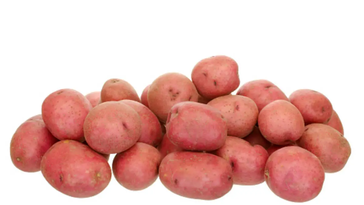 1-red-potato-nutrition-facts