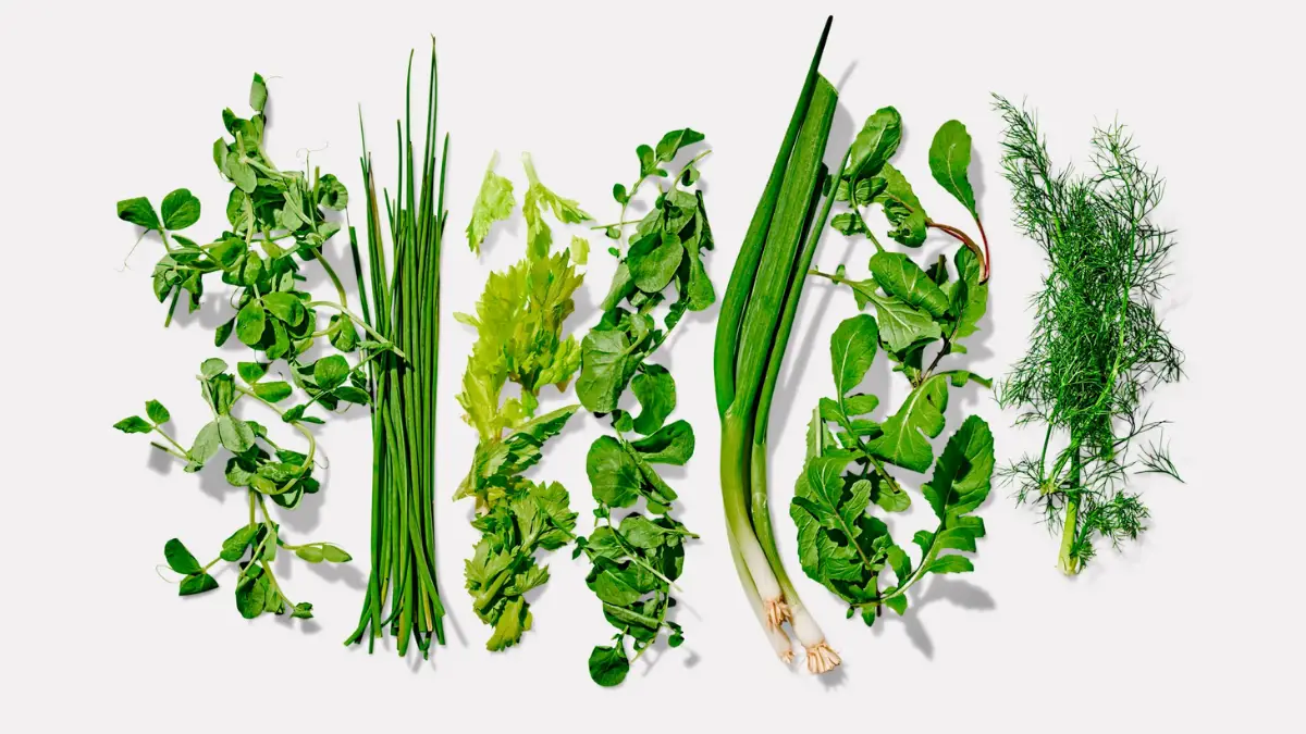 Best Herbs To Grow For Cooking Cully's Kitchen