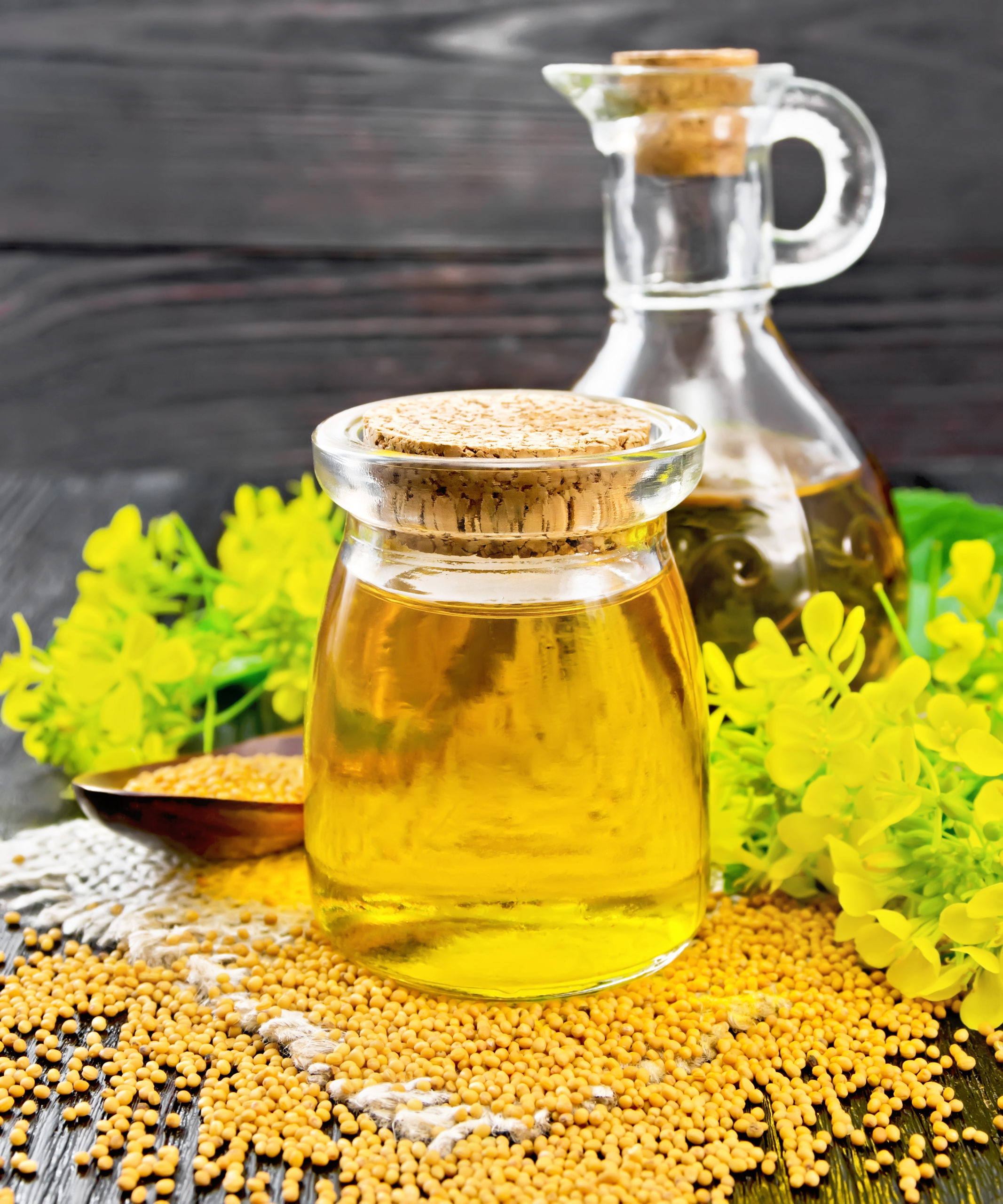 Which Oil is Best For Cooking Food