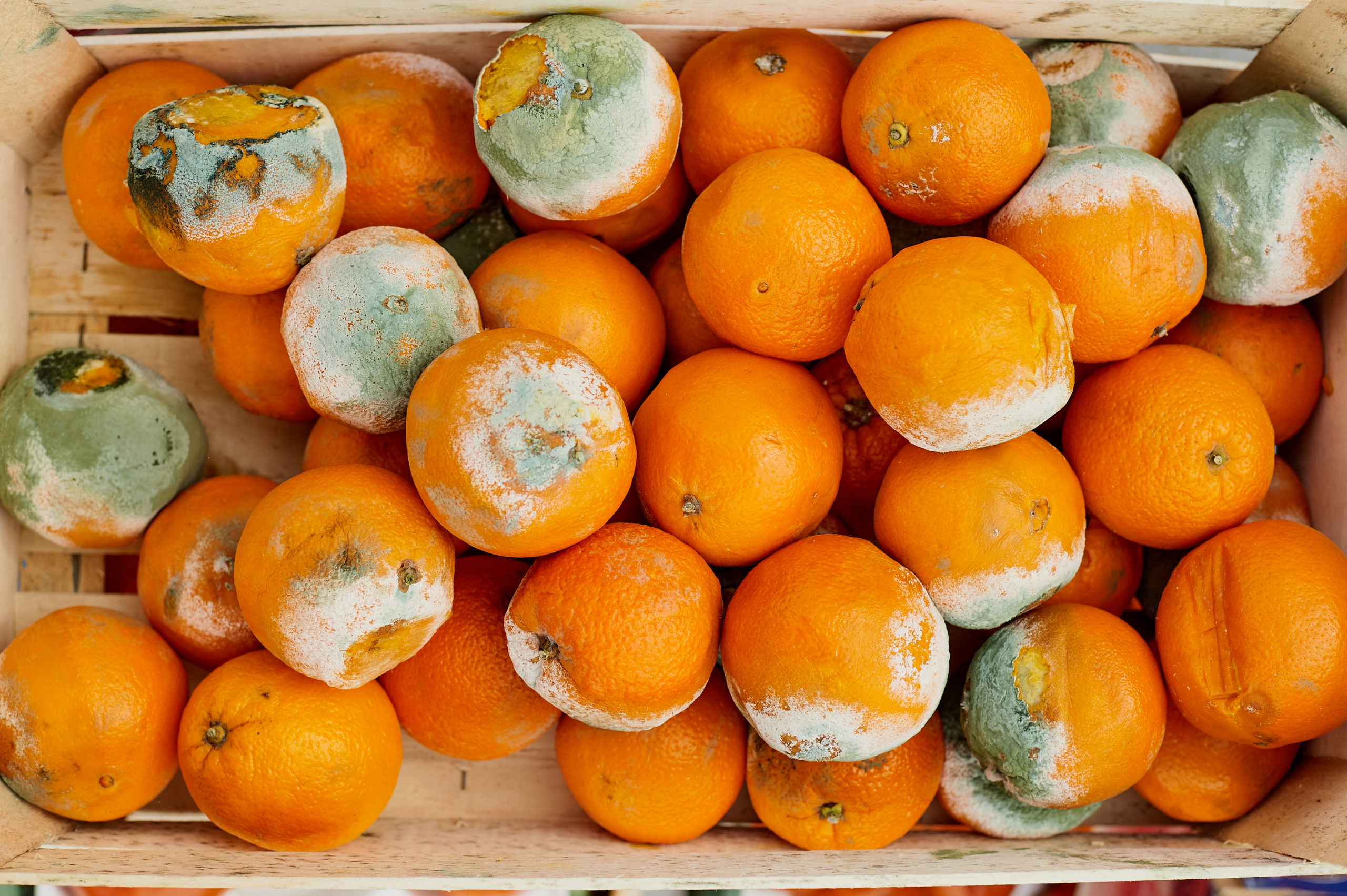 how-to-tell-if-an-orange-is-bad-cully-s-kitchen