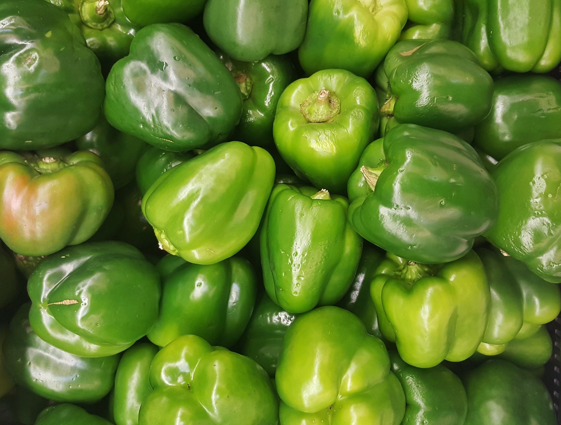 how-to-tell-if-green-bell-peppers-are-bad-cully-s-kitchen