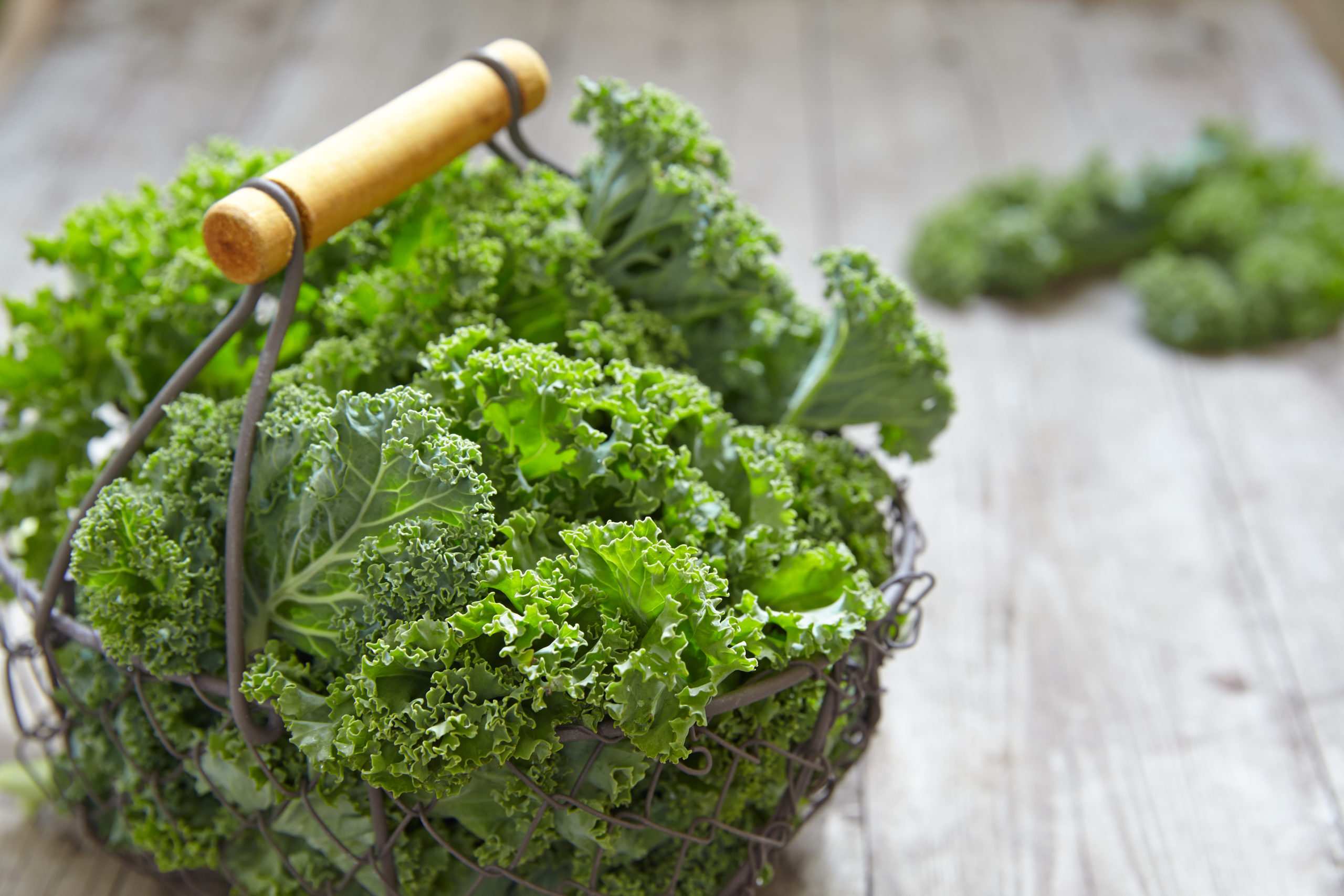 How To Tell If Your Kale Is Bad? - Cully's Kitchen