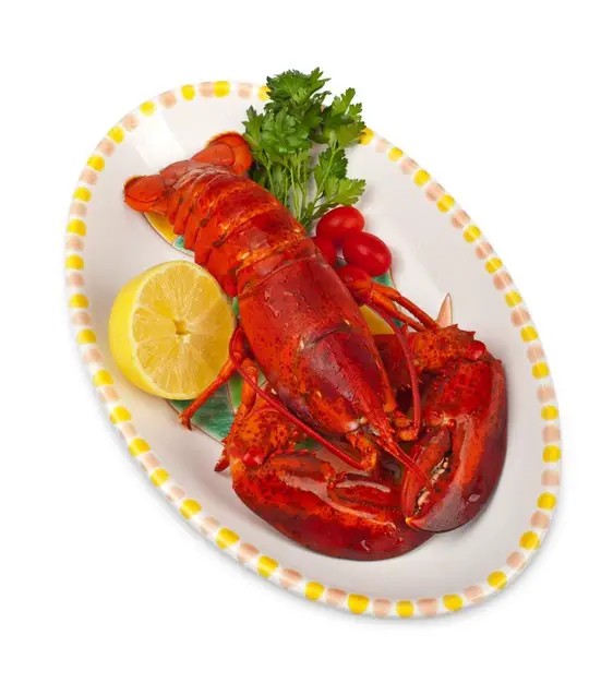Cooked Lobster 