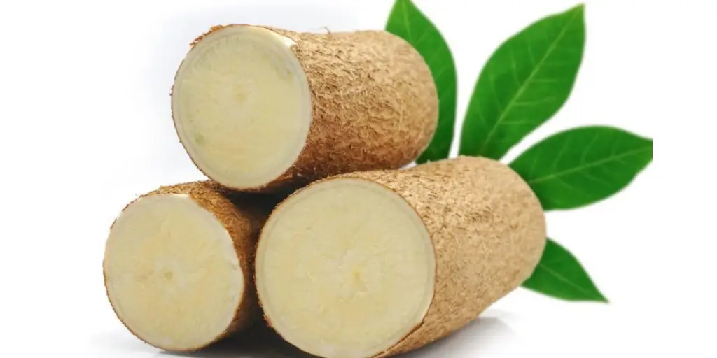 How To Tell If Yucca Is Bad? Cully's Kitchen