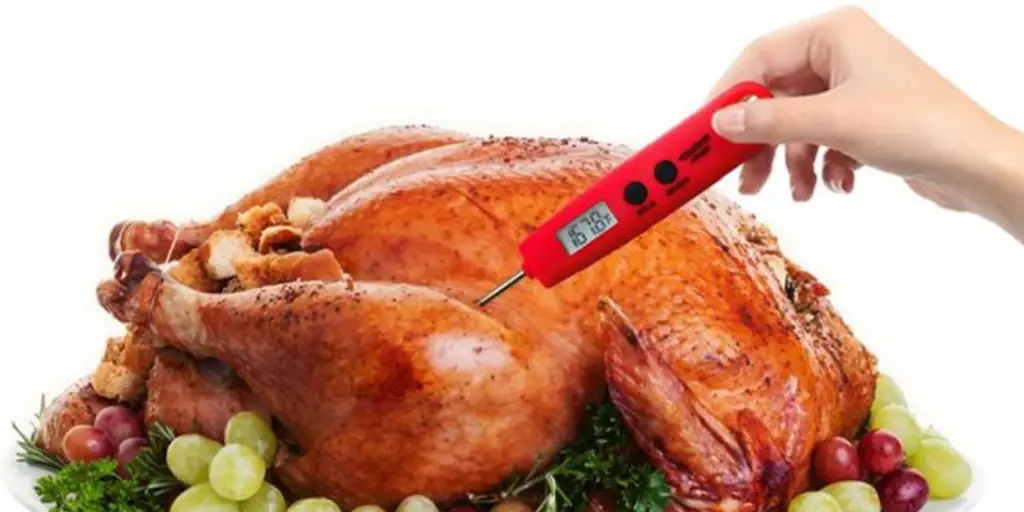 _Thermometer for Cooking Turkey (1)