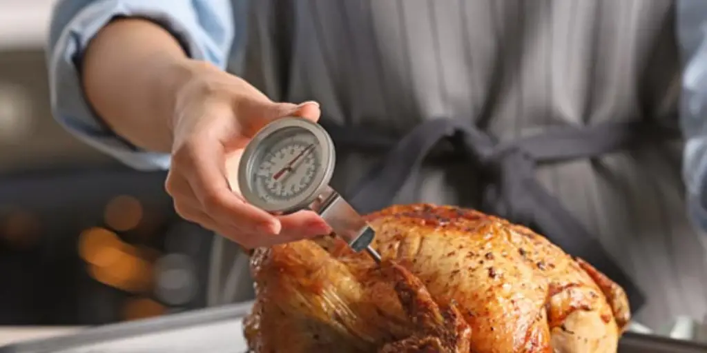 _Thermometer for Cooking Turkey