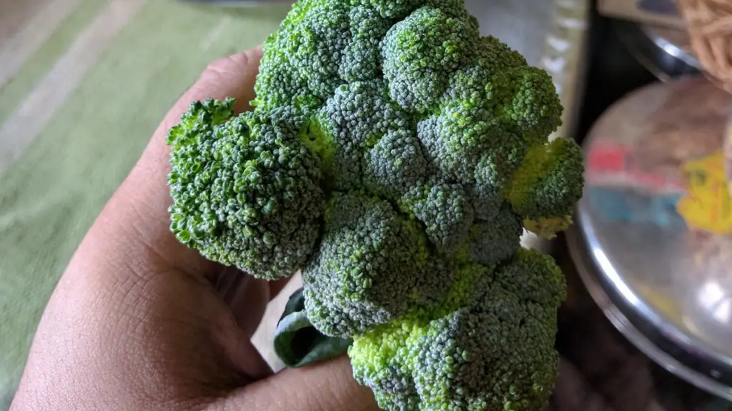 How To Tell If Broccoli Is Bad? - Cully's Kitchen