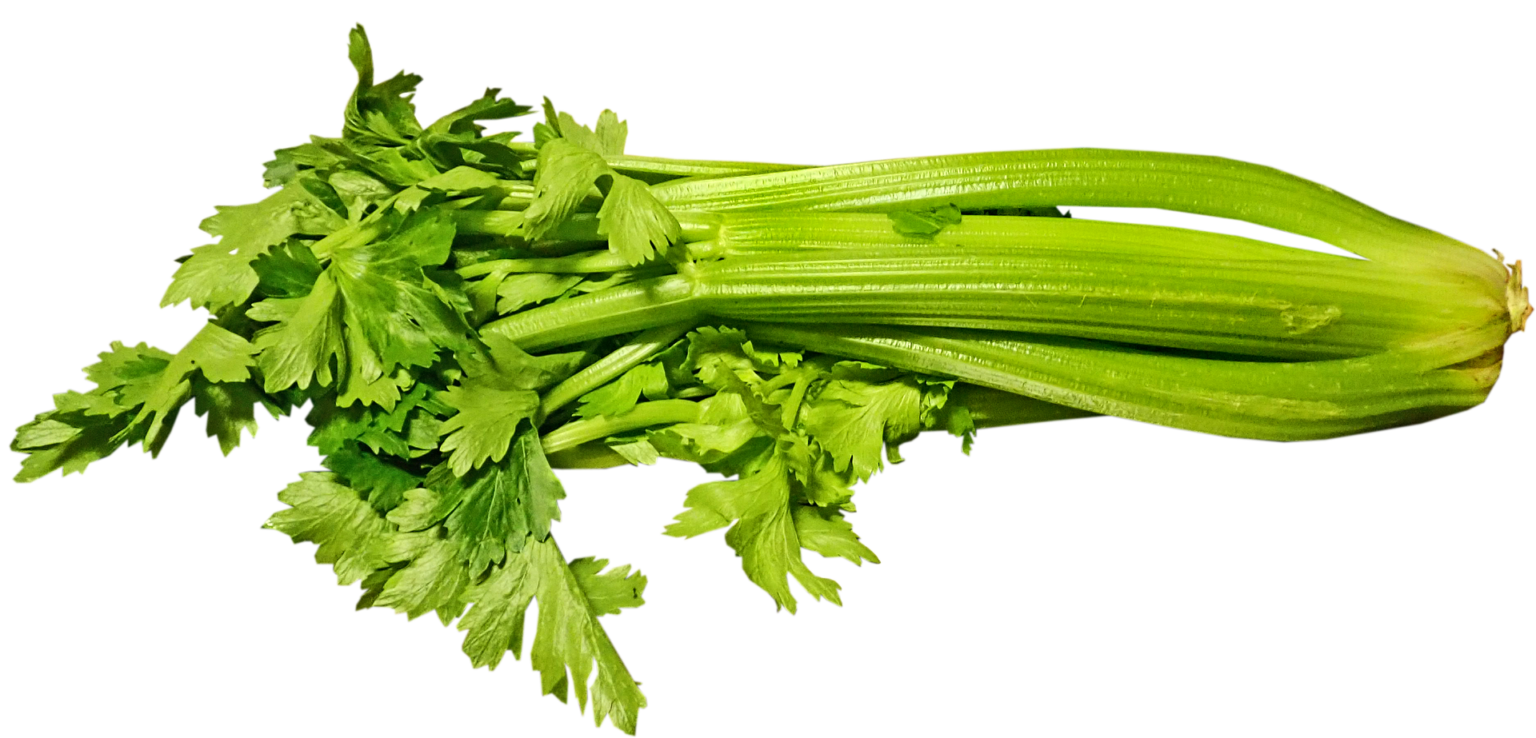 How to Tell if Celery is Bad?