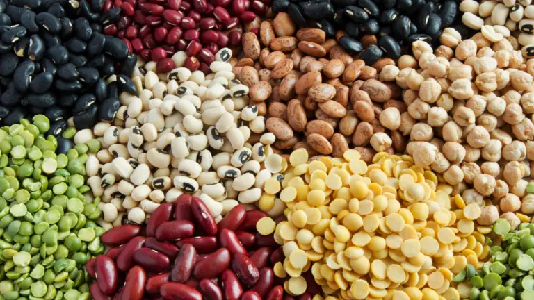 dried beans