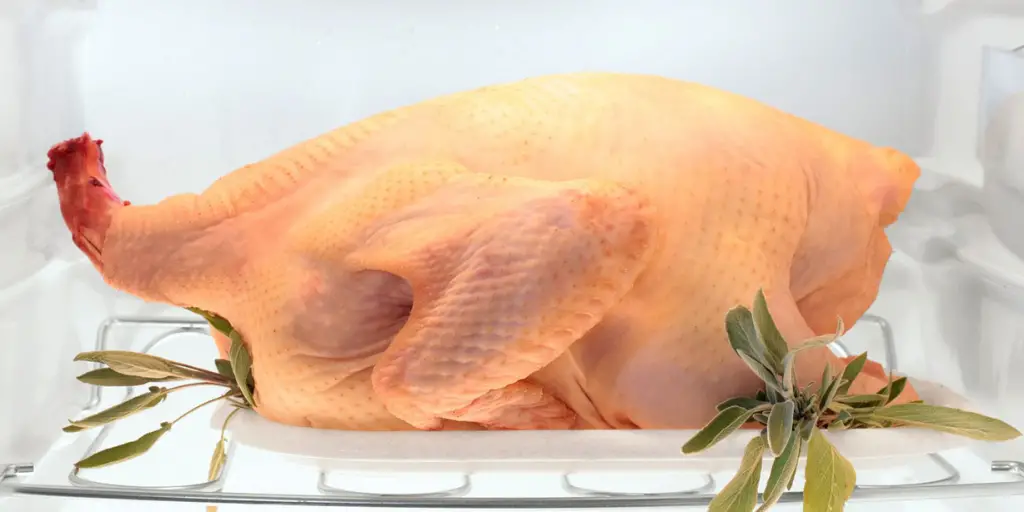 Defrosted Chicken