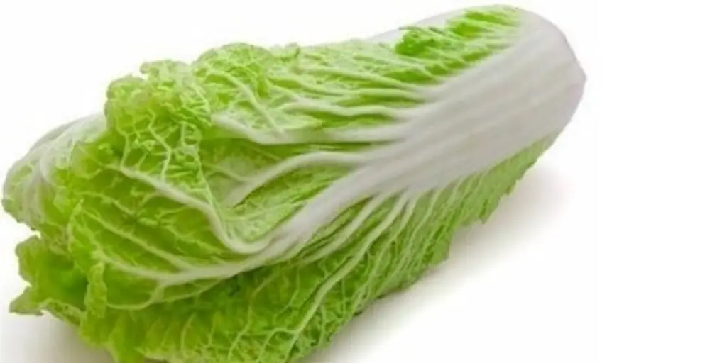 Napa Cabbage (2)