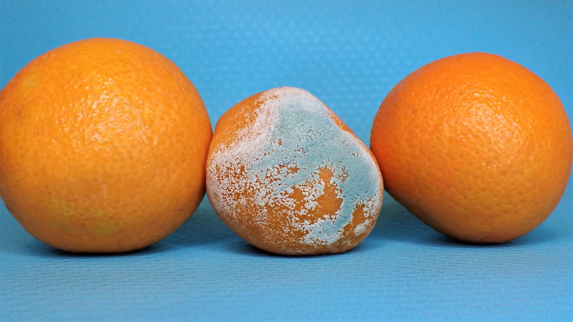 How To Tell If A Clementine Is Bad? - Cully's Kitchen