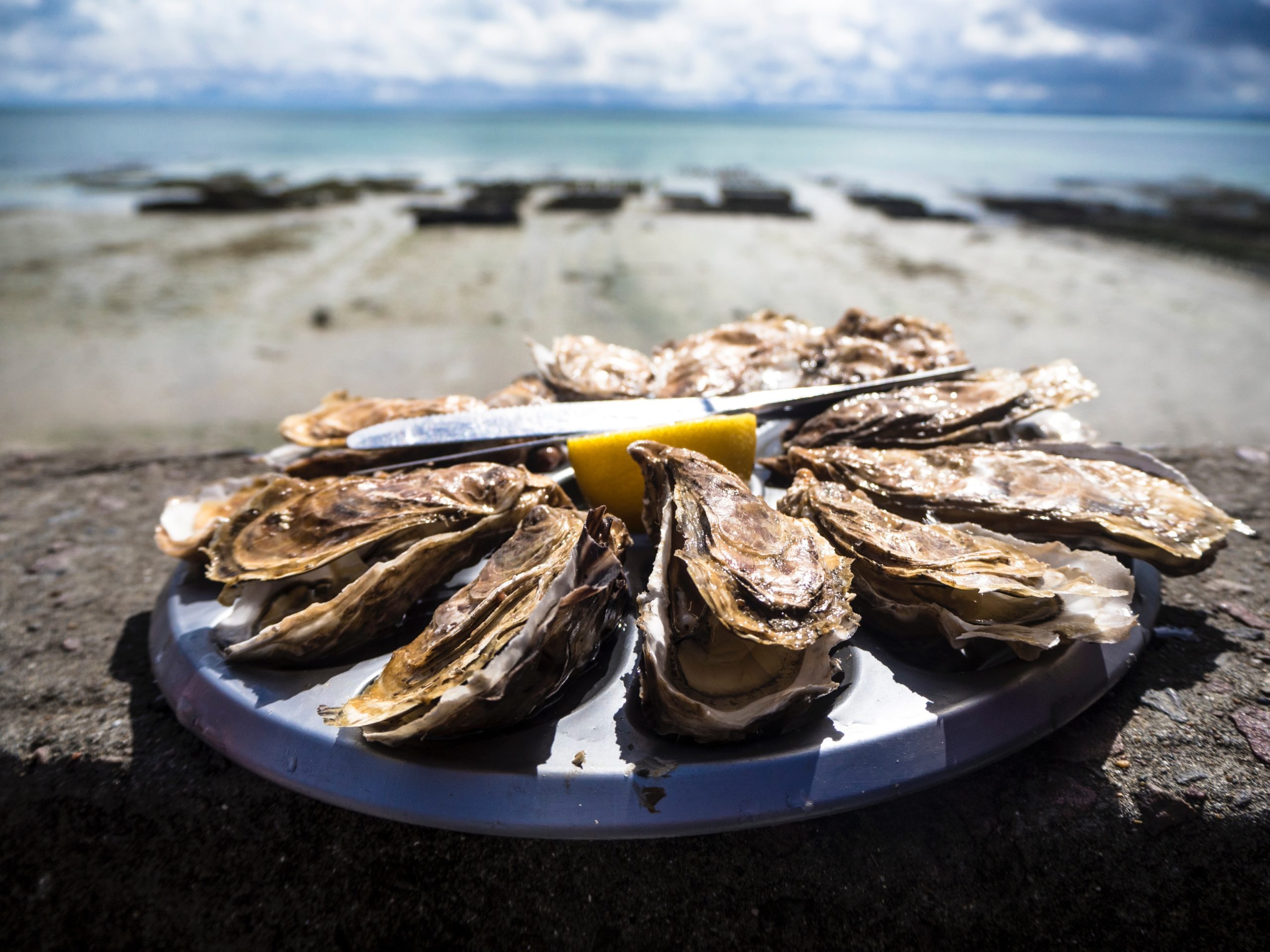 How To Tell If Oysters Are Fresh ?
