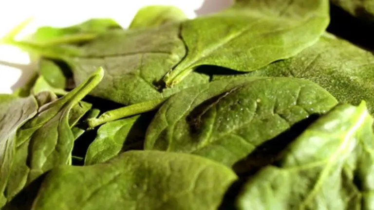 How to Tell if Spinach is Bad?