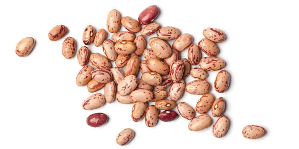 Pinto Beans (2)