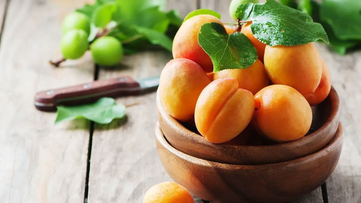 Apricot Nutrition Facts