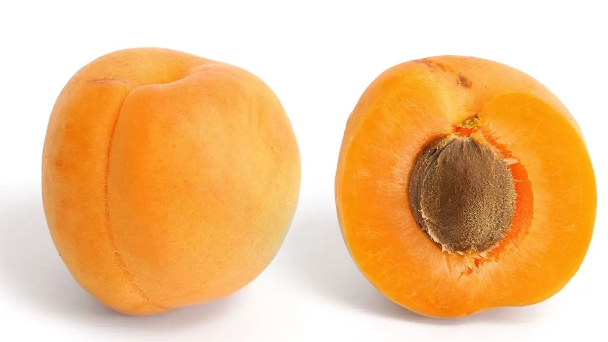 Apricot Nutrition Facts