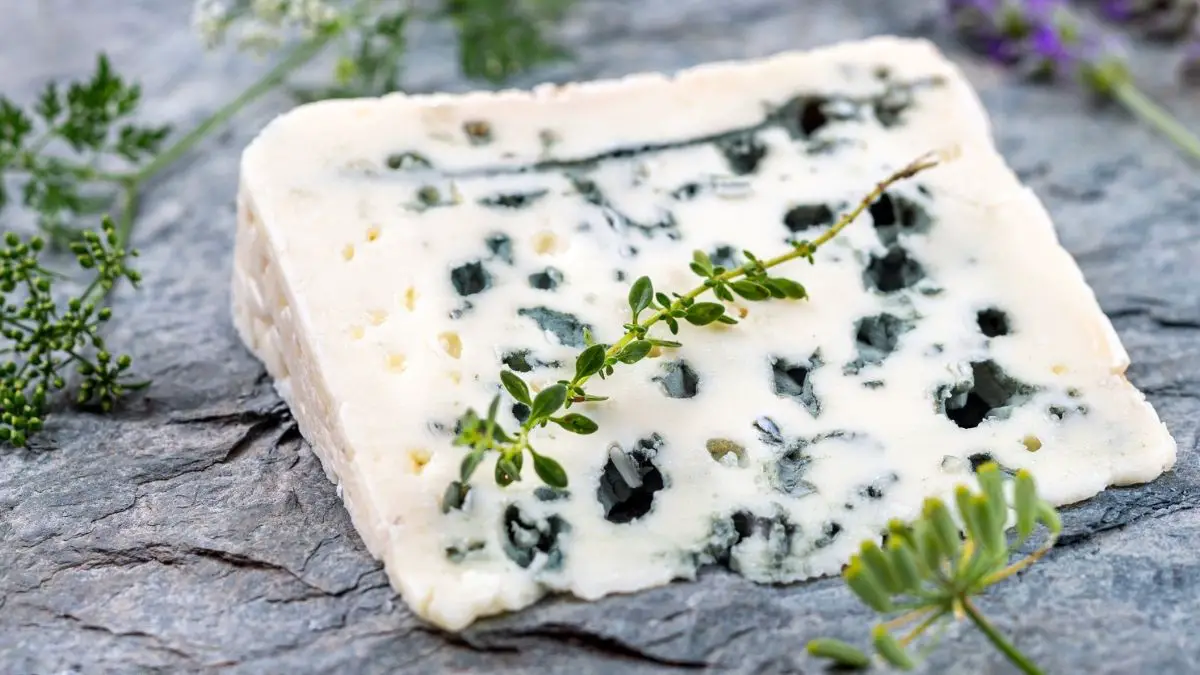 How to Tell If Blue Cheese is Bad