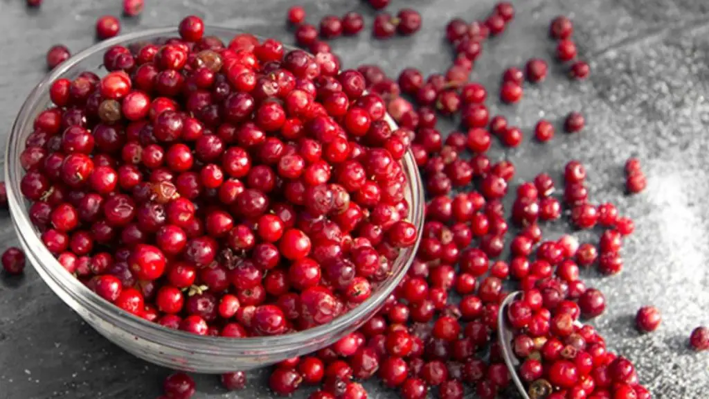 How to Tell if Cranberries are Bad? Cully's Kitchen