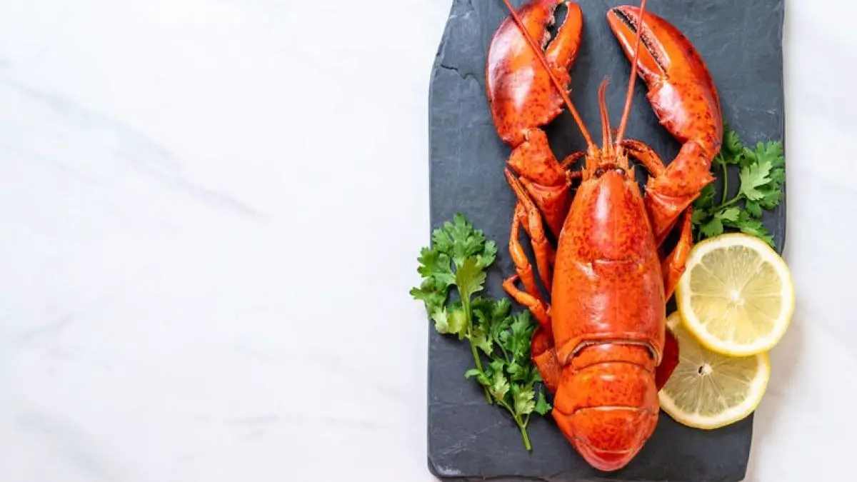 How to Tell If Lobster Is Bad
