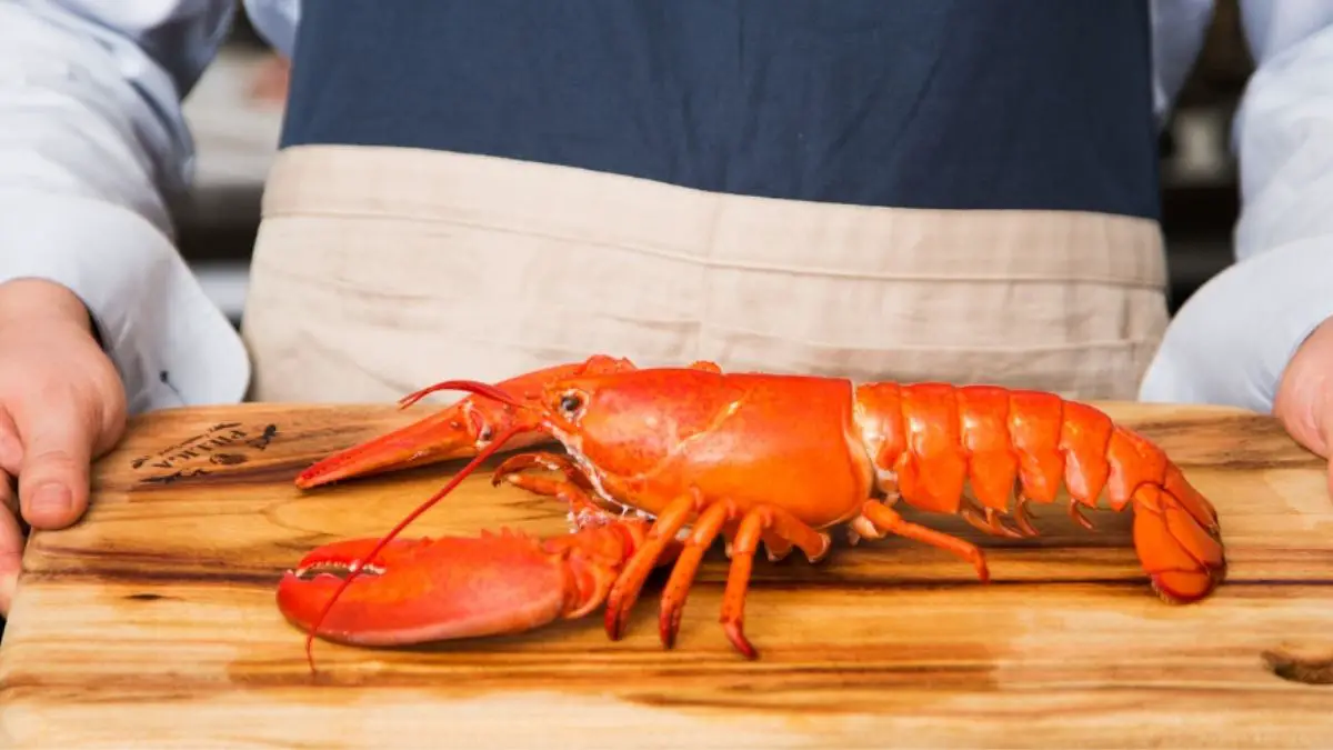 How to Tell If Lobster Is Bad