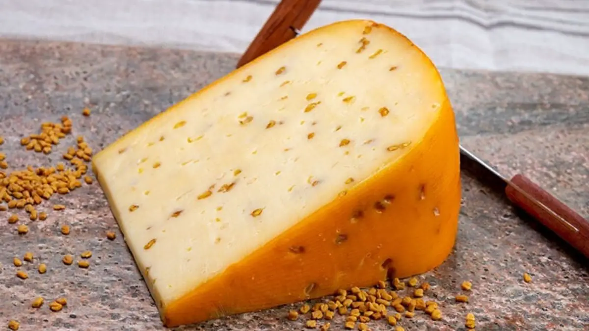 How to tell if Gouda Cheese is Bad?