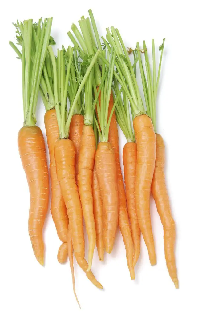 Organic Carrots, Locally Grown,