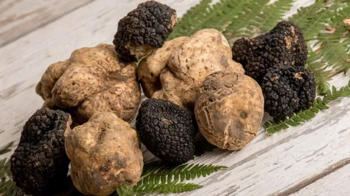 Truffle Nutrition Facts