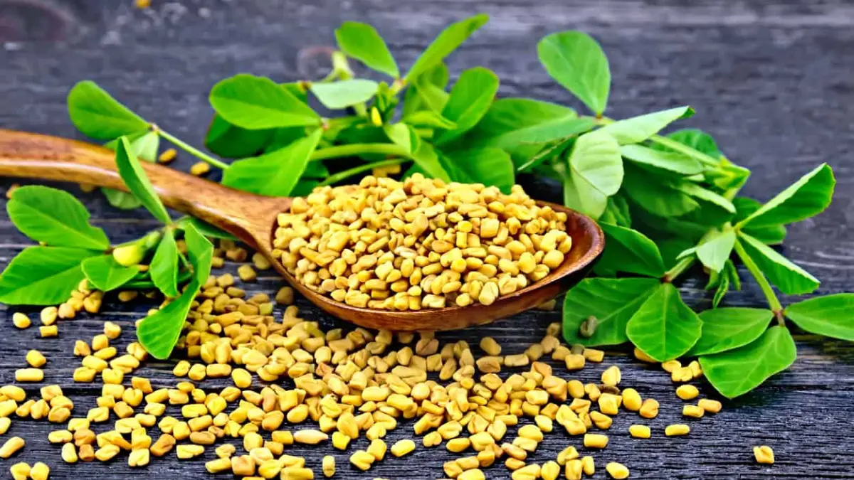 fenugreek-nutrition-facts-cully-s-kitchen