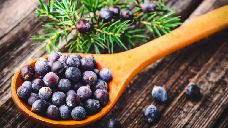 Juniper Berries Nutrition Facts - Cully's Kitchen