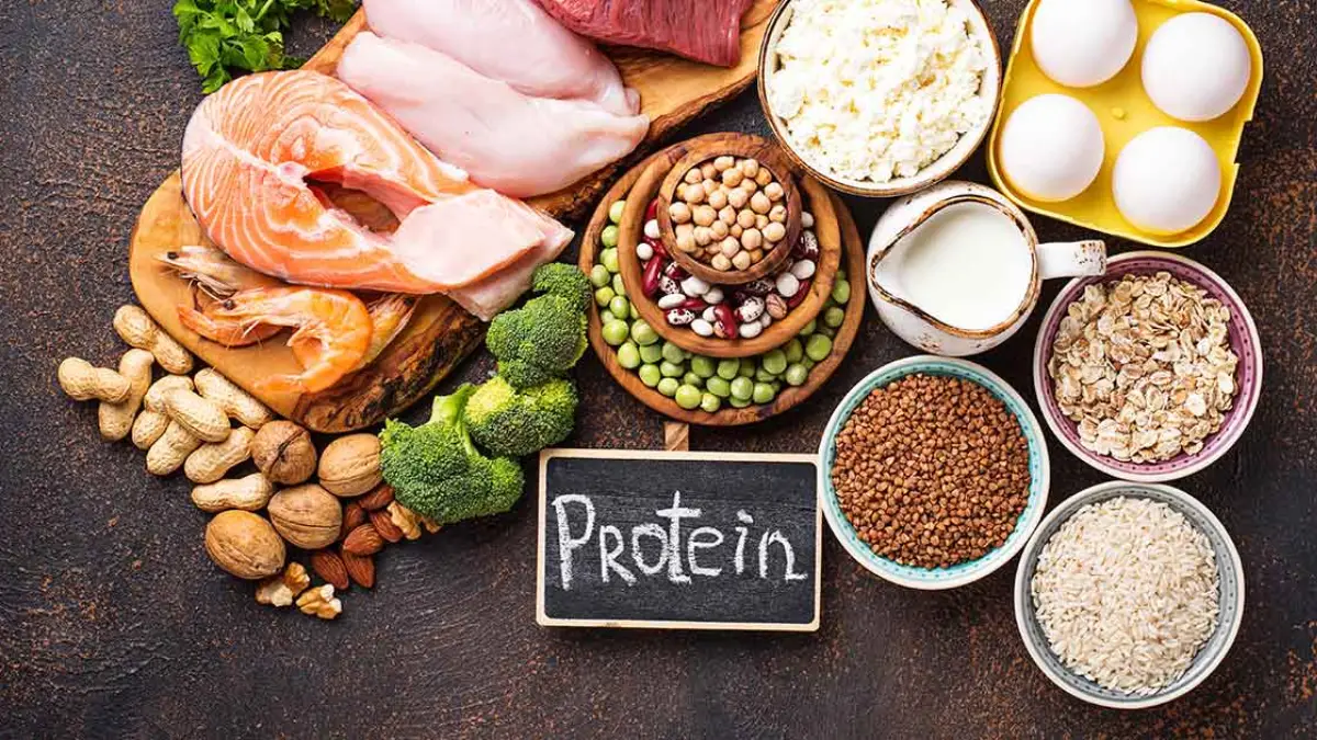 Protein food